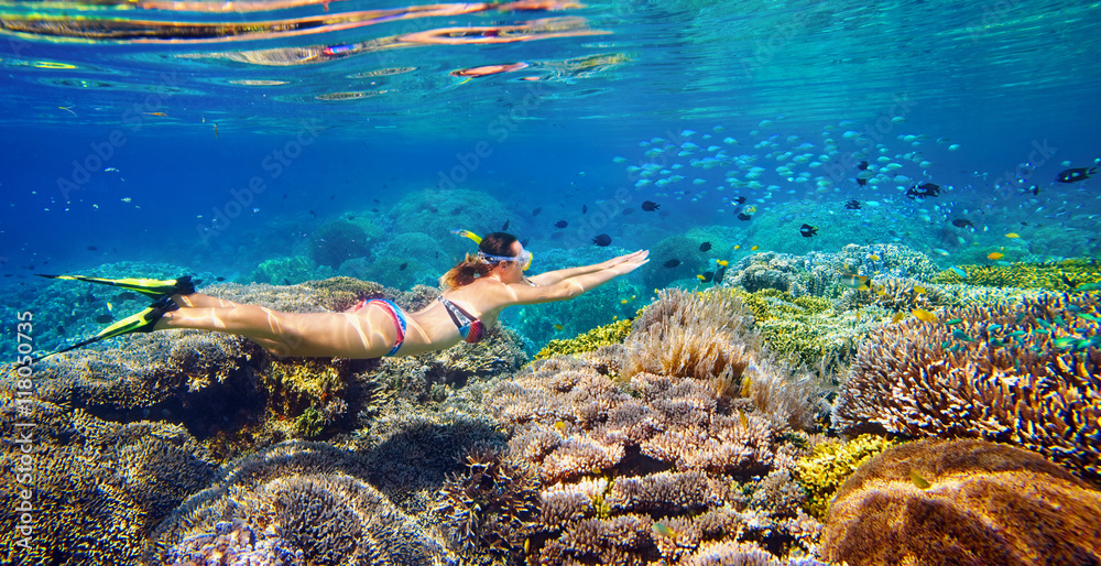 Young woman at snorkeling in the tropical water - obrazy, fototapety, plakaty 