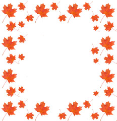 Wall Mural - frame  pattern maple leaf yellow red autumn