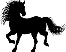 Drawing The Black Silhouette Of Running Horse On A White Background