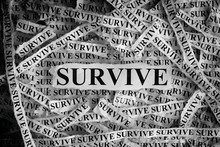 Survive. Torn Pieces Of Paper With The Word Survive