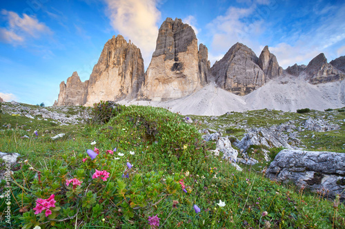 Obrazy Dolomity  laka-z-kwiatami-w-dolomitach-trzy-szczyty