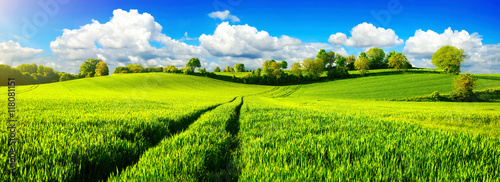 landliche-idylle-panorama-mit-weiten-grunen-wiesen-und-blauem-himmel