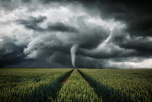 Tornado Wütet über Eine Landschaft - Unwetter über Getreidefeld