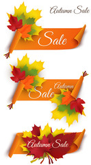 Poster - Autumn sale banners isolated on white background. Ribbons with colorful leaves. Vector