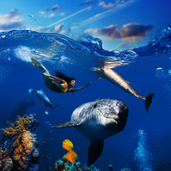 Wall Mural - sealife underwater scene beautiful mermaid wearing golden tail swimming and playing with funny dolph