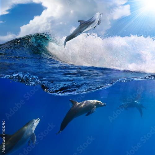 Obrazy Delfiny oceanview-with-sunlight-a-flock-of-playful-dolphins-swimming-underwater-and-one-of-them-leaping-out-from-big-sea-surfing-wave