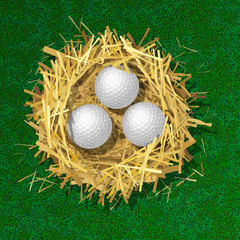 Wall Mural - golf balls in a straw nest