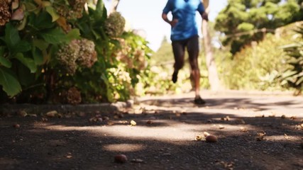 Poster - Sportsman is running in the park 