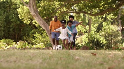Poster - Cute family is playing football in a park