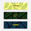 Tropic banners set. Palm leaf patterns. Eps10 vector illustration.
