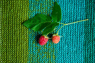 Wall Mural - branch of the raspberries with two berries and leaves lay on knitted cloth