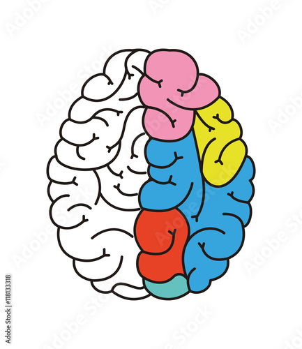flat design human brain cartoon icon vector illustration - Buy this