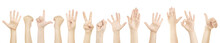 Children Hands Showing Gestures On White Background.