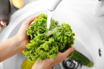 Wall Mural - Female hands washing fresh vegetables in kitchen sink