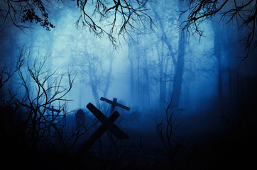 Wall Mural - dark horror forest gravestone wallpaper creatie abstract background.