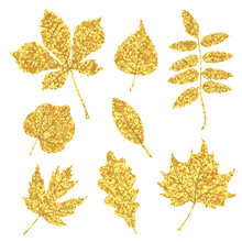 Set Of Glittering Golden Leaves Isolated On White. Vector Illustration.