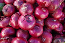Red Onions Piled For Farmer Market Close-up