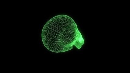 Wall Mural - Human Skull 3D Wireframe Hologram in Motion. Nice 3D Rendering
