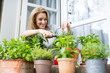 © Connect Images - Woman clipping herb plants on windowsill