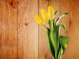 Fototapeta Tulipany - Yellow Tulip Flowers