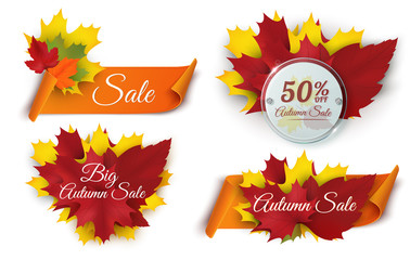 Wall Mural - Set of vector banners with leaves and scroll paper ribbons. Autumn sale collection