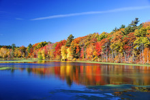 Autumn Colorful Trees Under Morning Sunlight Reflecting In Tranquil River