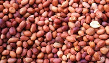 Group Of Unshelled Peanuts Ready For You To Cook 
