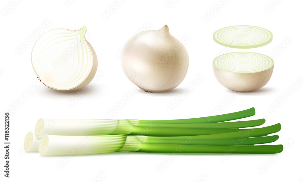 Vector Set of Fresh Whole and Sliced White Onion Bulbs with Green ...