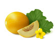 Yellow round melon with slice, flower and leaves on white background