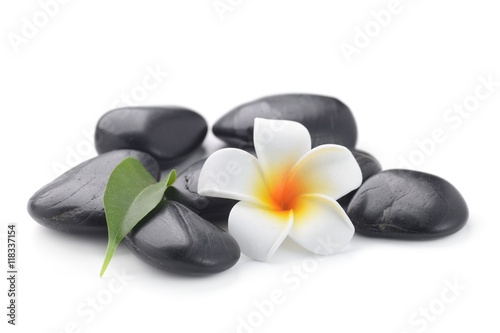 Tapeta ścienna na wymiar zen basalt stones and Frangipani