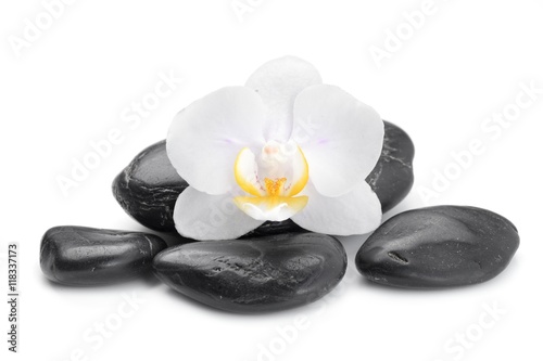 Naklejka - mata magnetyczna na lodówkę zen basalt stones and orchid