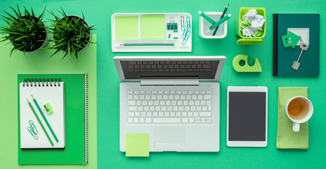 Wall Mural - Green creative desktop