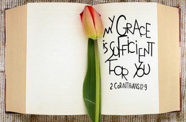 My grace is sufficient for you  Inspirational and motivational quote. Modern brush calligraphy. .Hand drawing lettering. Tulip bud on the background of the open book.   Words about God..