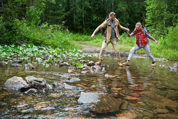 Journey in the forest