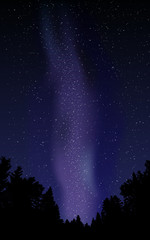 Wall Mural - Night sky with stars and milky way.Vector illustration