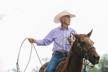 Senior Cowboy Riding Horse In Rodeo