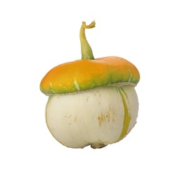 Decorative pumpkin in the form of a mushroom on a white backgrou