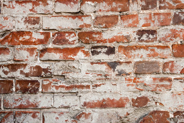 Canvas Print - Red wall texture brick