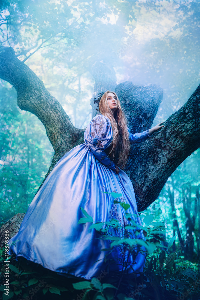 Princess in magic forest - obrazy, fototapety, plakaty 