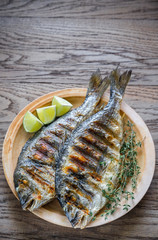 Grilled Dorade Royale Fish