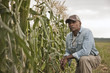 © John Fedele/Blend Images - African American farmer tending crops