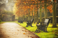 Benches In Autumn Park