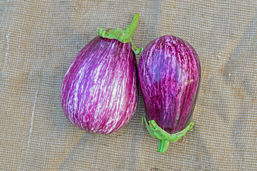 Two ripe eggplants on a sacking background