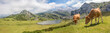 Lago de Enol Bergsee im Parque Nacional de los Picos de Europa (Picos d’Europa) Asturies (Asturien, Asturias) Spanien (España)