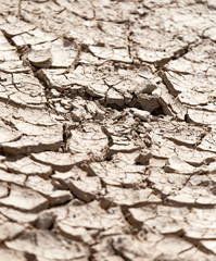 Poster - cracked dry earth as a background