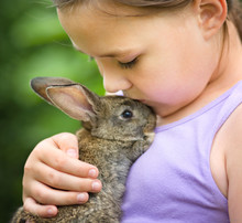 Girl Is Holding A Little Rabbit