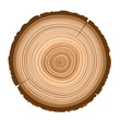 texture of sawn wood dark brown object