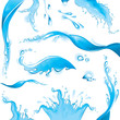 © Bakavets Svetlana - Set of water splashes. (vector illustration)