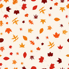 Autumn Paper # 5 Free Stock Photo - Public Domain Pictures