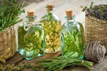 Bottles Of Thyme And Rosemary Essential Oil Or Infusion, Herbal